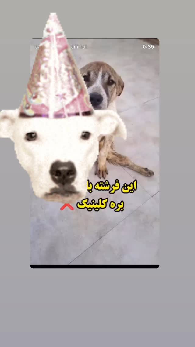 جدید ترین استوری اینستاگرام سحر قریشی