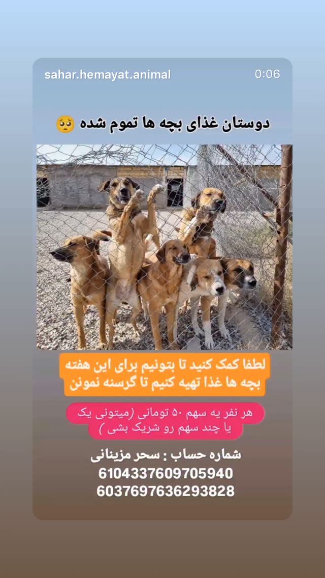  جدید ترین استوری اینستاگرام سحر قریشی