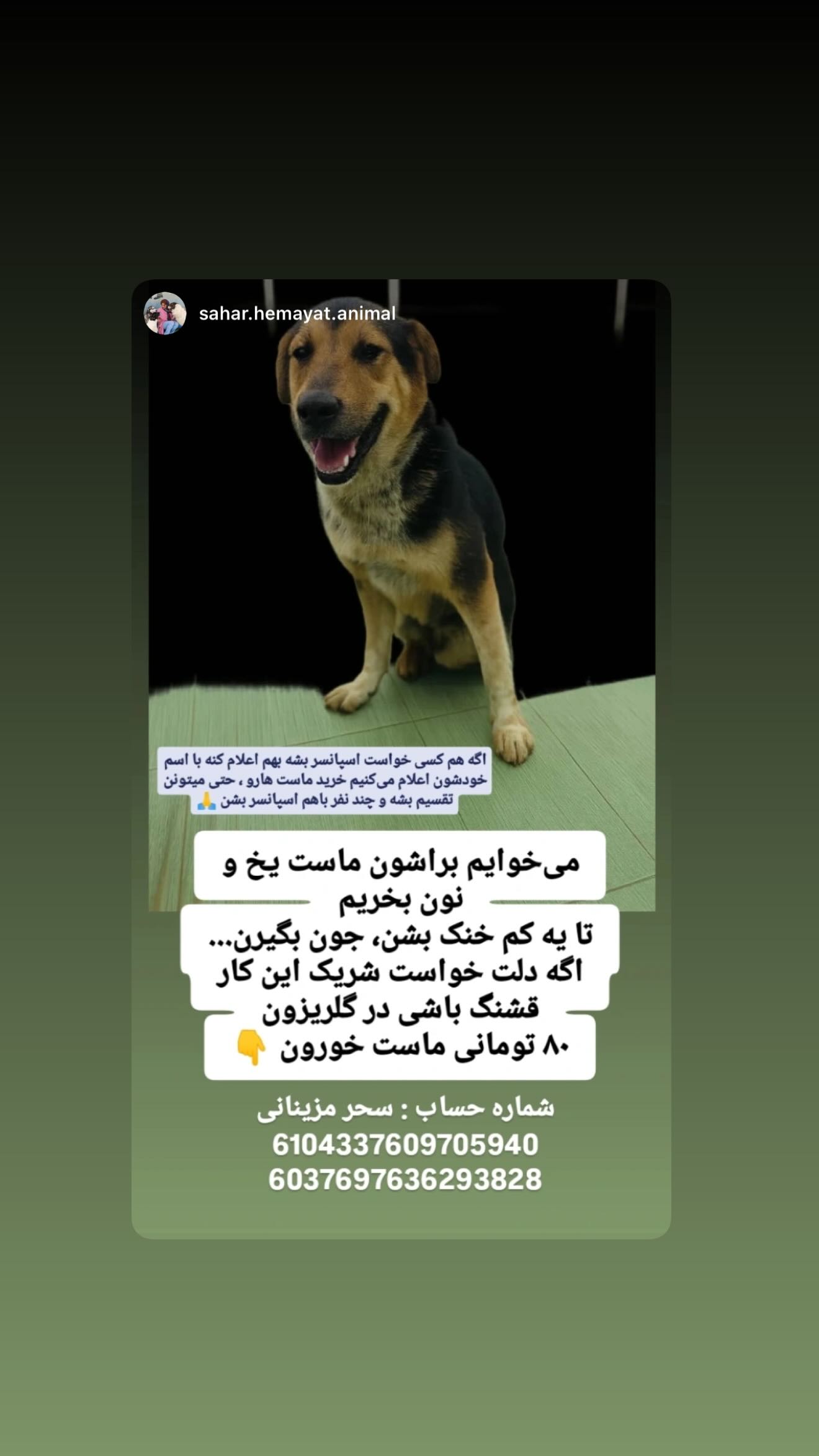 جدید ترین استوری اینستاگرام سحر قریشی
