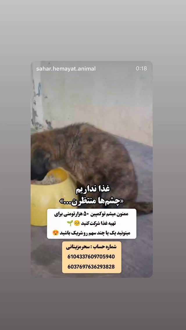  جدید ترین استوری اینستاگرام سحر قریشی