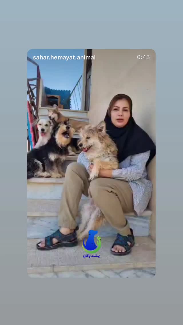  جدید ترین استوری اینستاگرام سحر قریشی