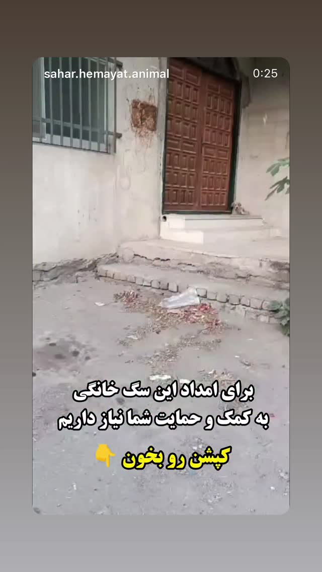  جدید ترین استوری اینستاگرام سحر قریشی