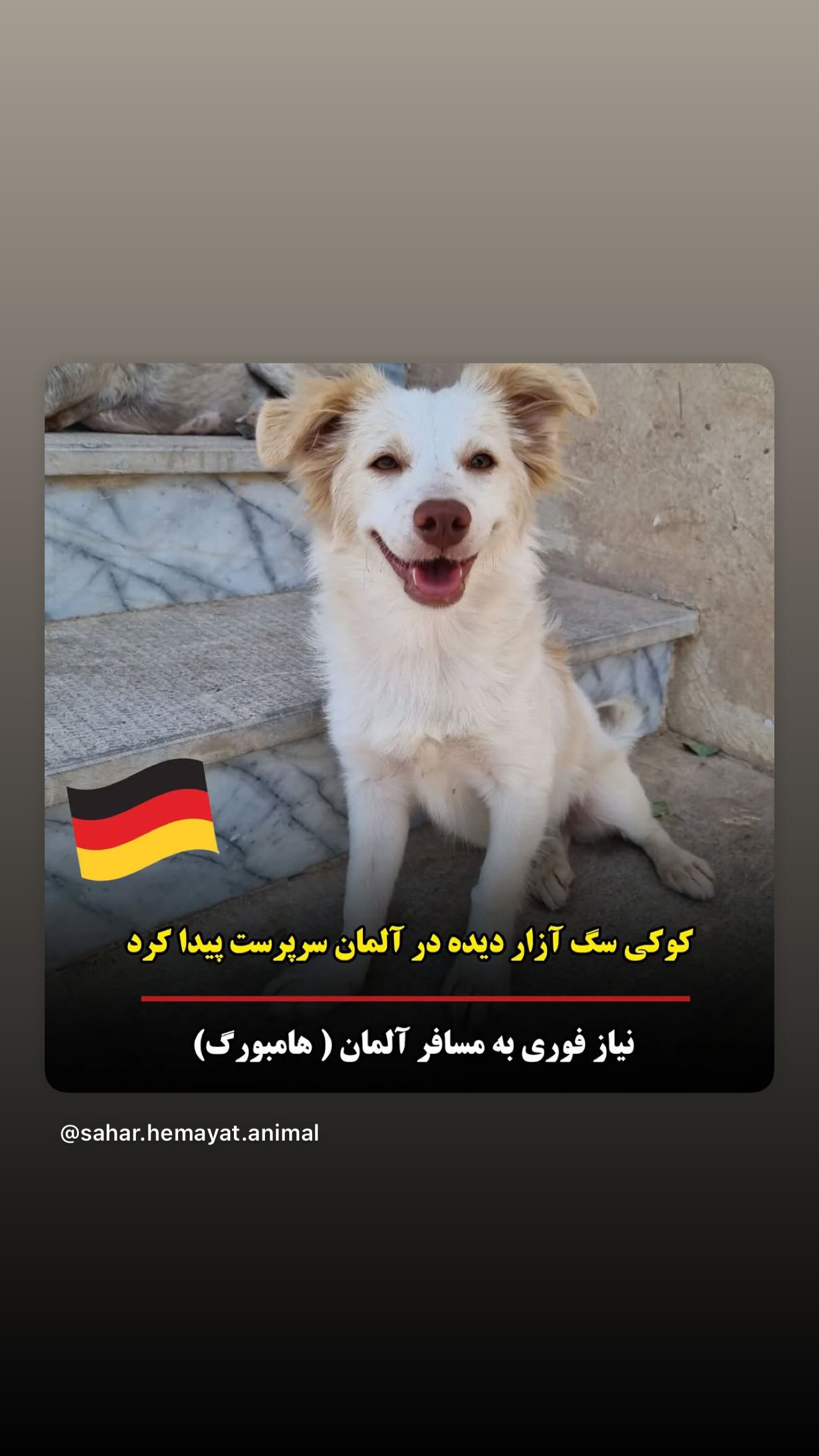  جدید ترین استوری اینستاگرام سحر قریشی