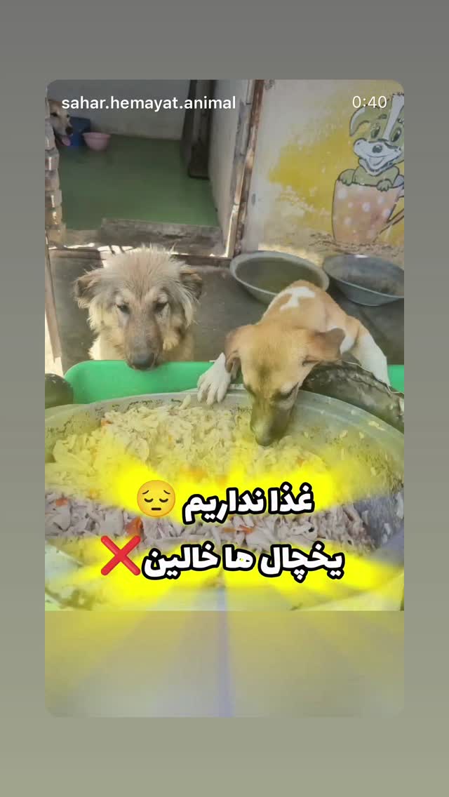  جدید ترین استوری اینستاگرام سحر قریشی