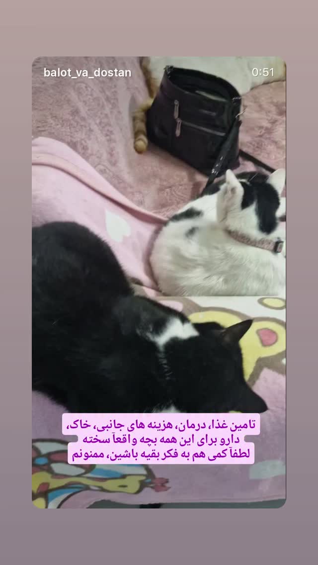  جدید ترین استوری اینستاگرام سحر قریشی