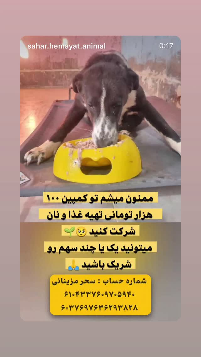  جدید ترین استوری اینستاگرام سحر قریشی