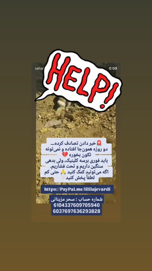  جدید ترین استوری اینستاگرام سحر قریشی
