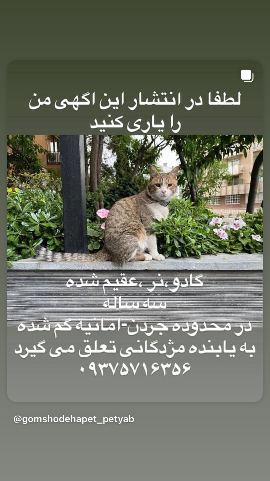  جدید ترین استوری اینستاگرام سحر ولدبیگی