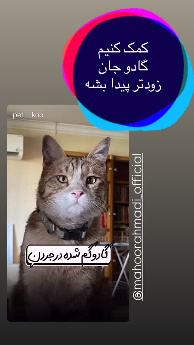  جدید ترین استوری اینستاگرام سحر ولدبیگی
