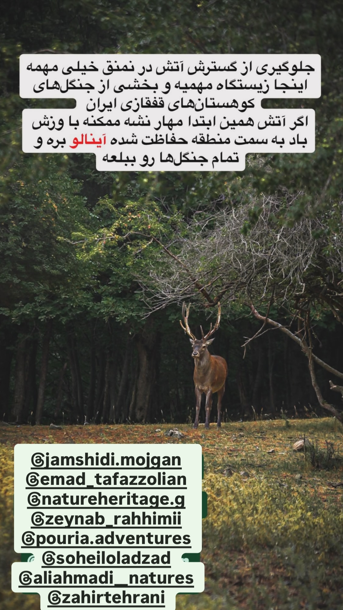  جدید ترین استوری اینستاگرام سحر ولدبیگی
