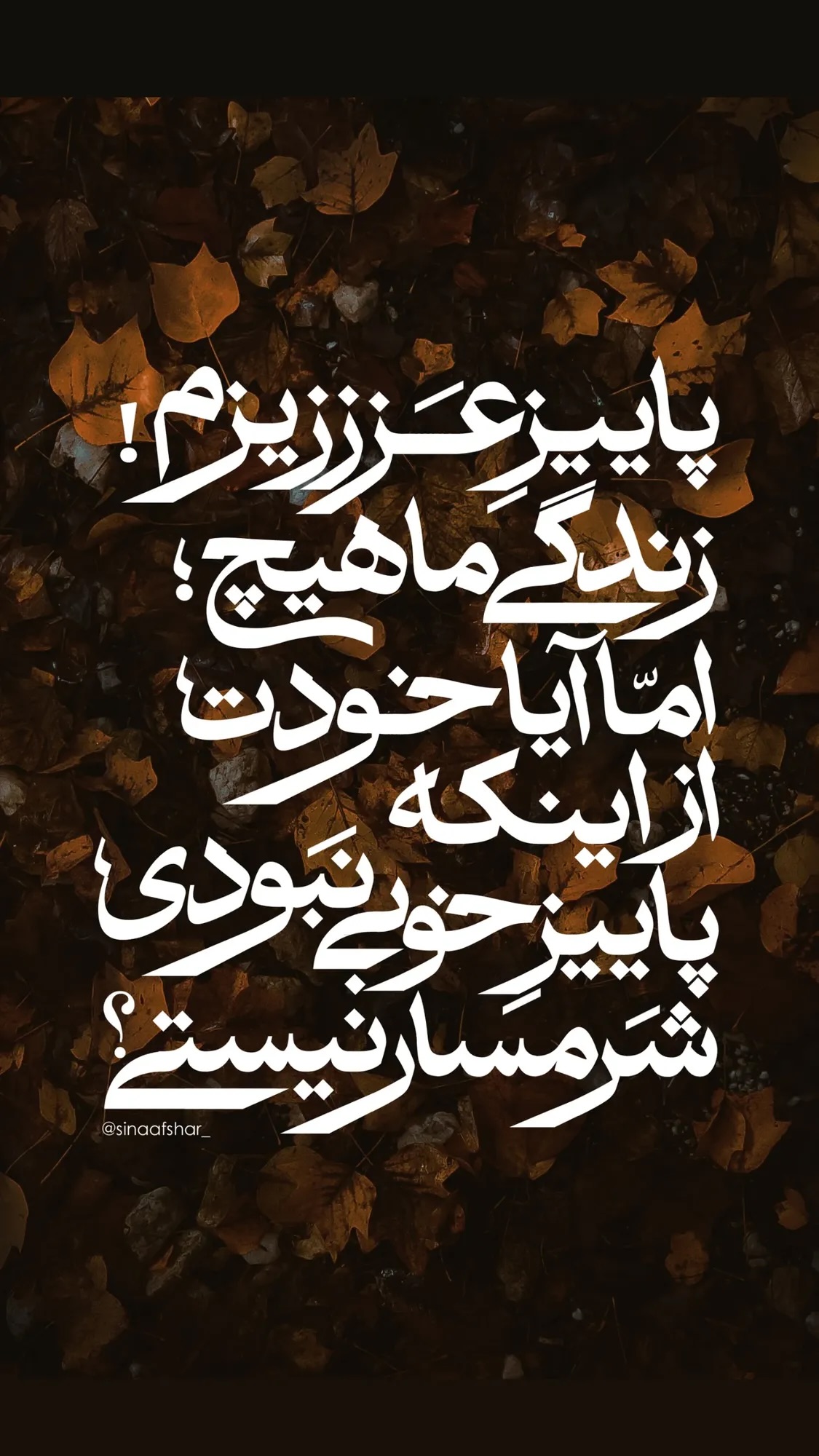  جدید ترین استوری اینستاگرام سحر ولدبیگی