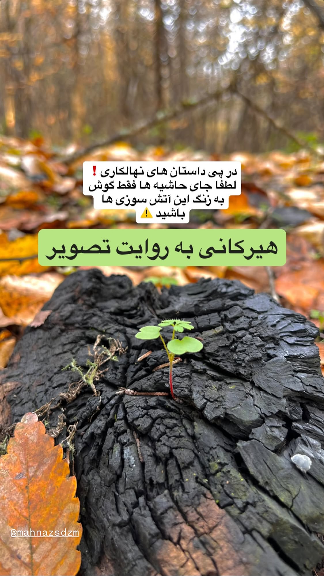  جدید ترین استوری اینستاگرام سحر ولدبیگی