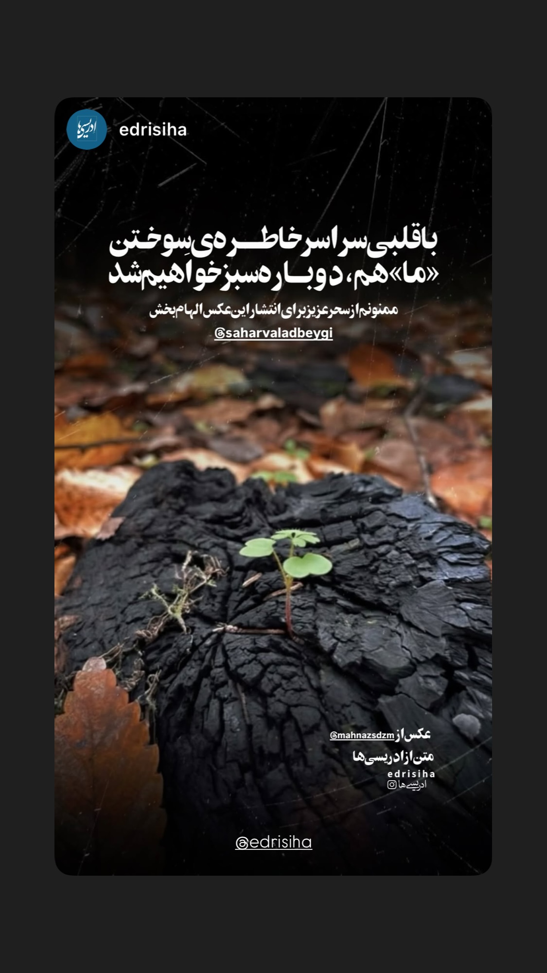  جدید ترین استوری اینستاگرام سحر ولدبیگی