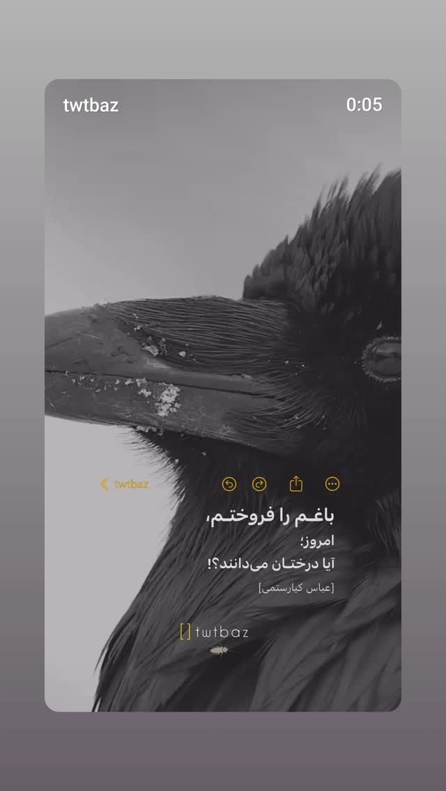  جدید ترین استوری اینستاگرام صهبا شریفی