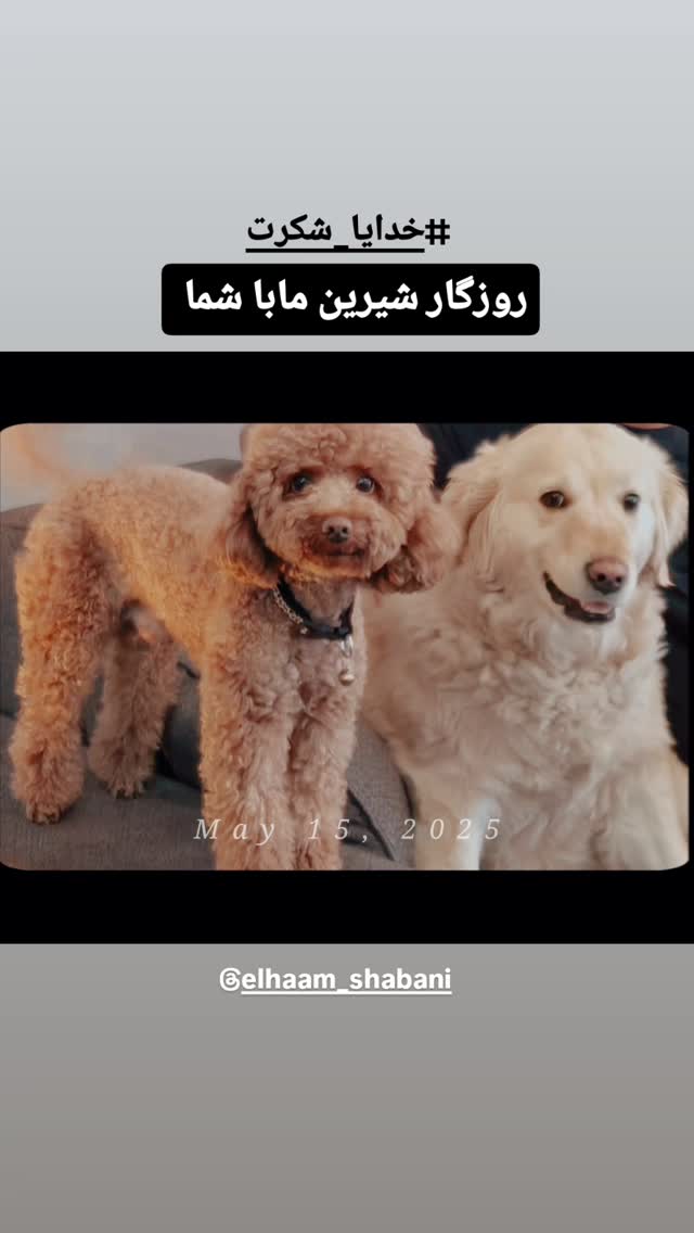  جدید ترین استوری اینستاگرام سحرا فتحی