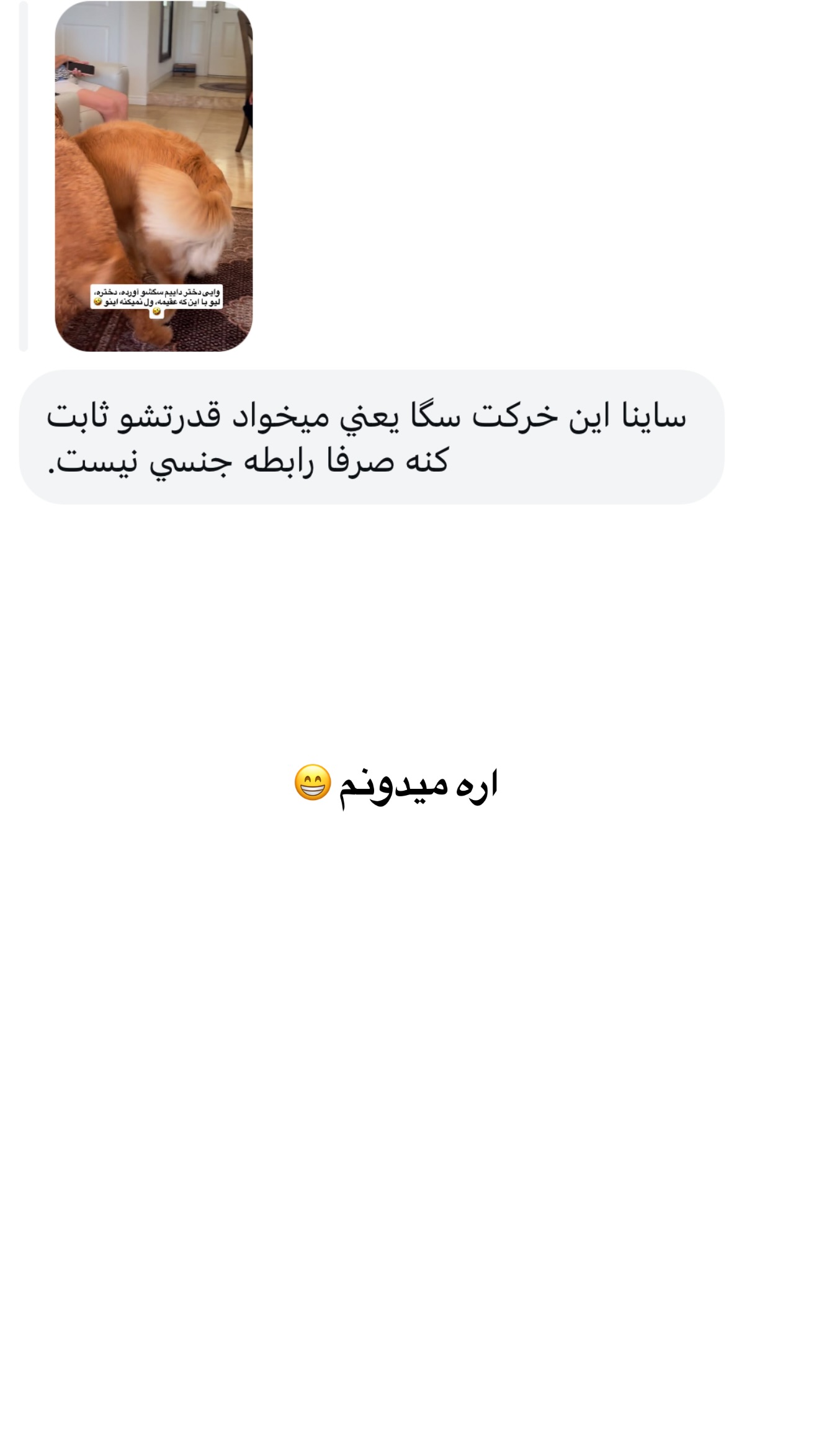  جدید ترین استوری اینستاگرام ثریا وحدتی نیا