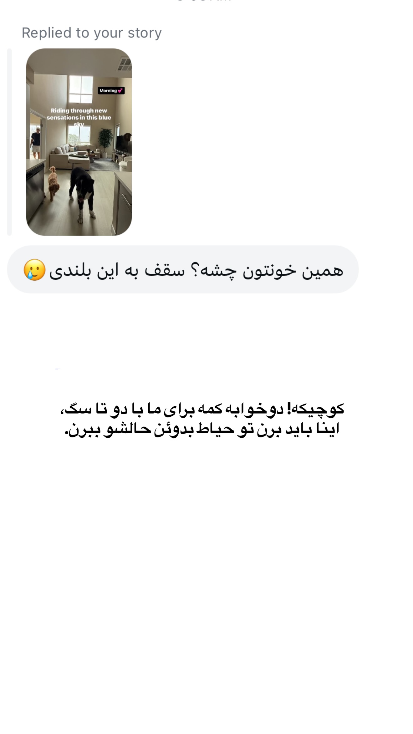  جدید ترین استوری اینستاگرام ثریا وحدتی نیا