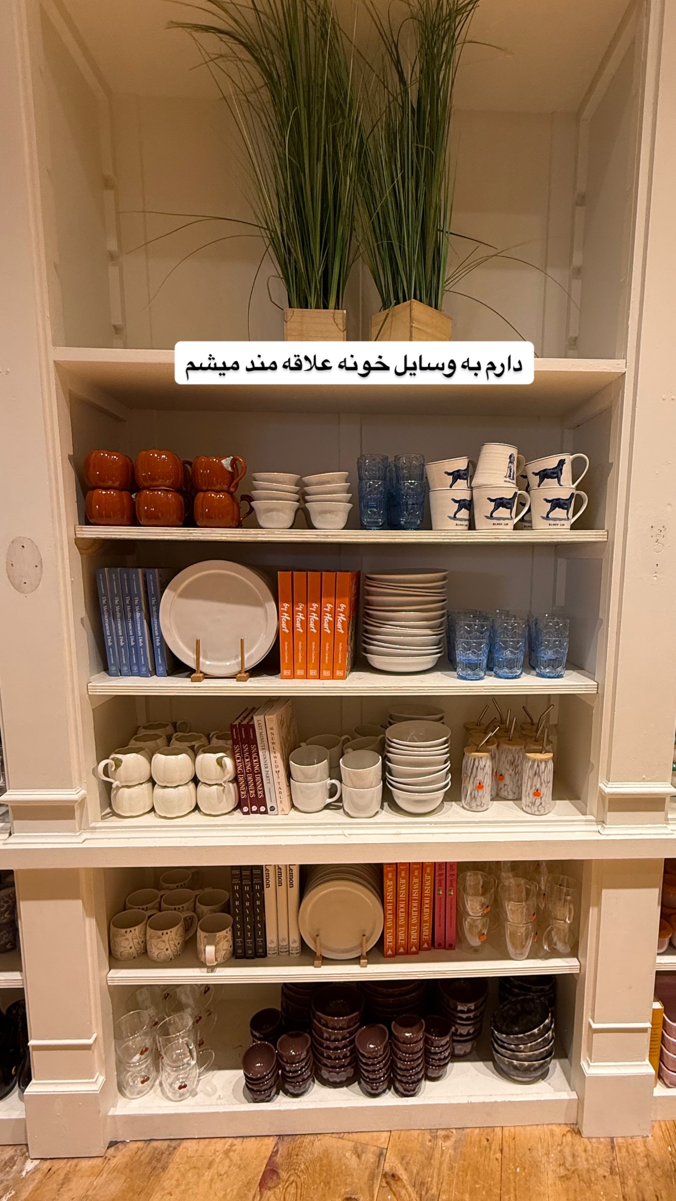  جدید ترین استوری اینستاگرام ثریا وحدتی نیا