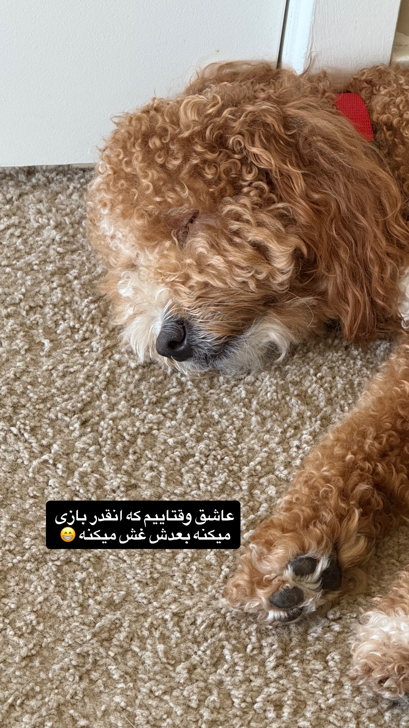  جدید ترین استوری اینستاگرام ثریا وحدتی نیا
