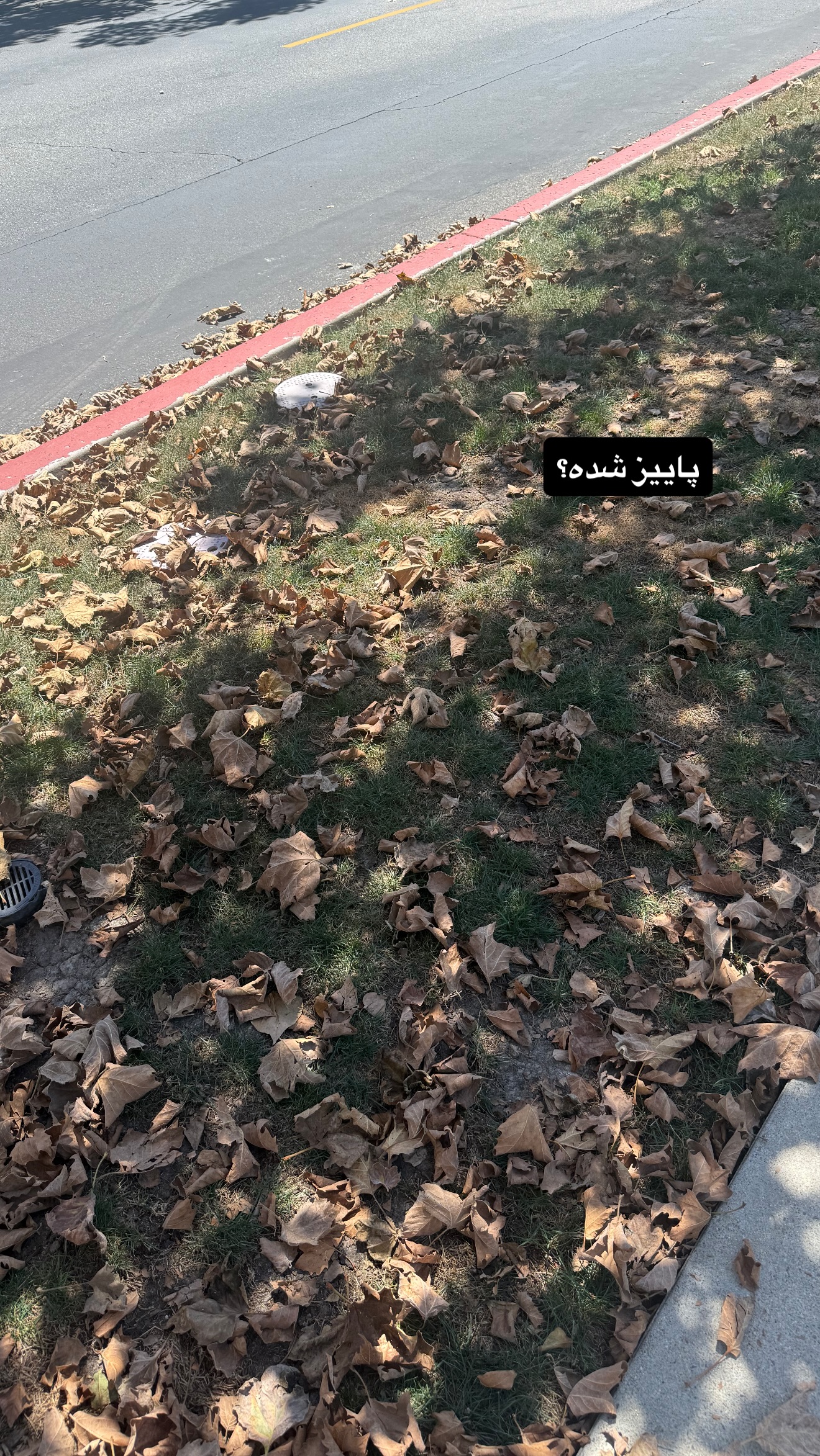  جدید ترین استوری اینستاگرام ثریا وحدتی نیا