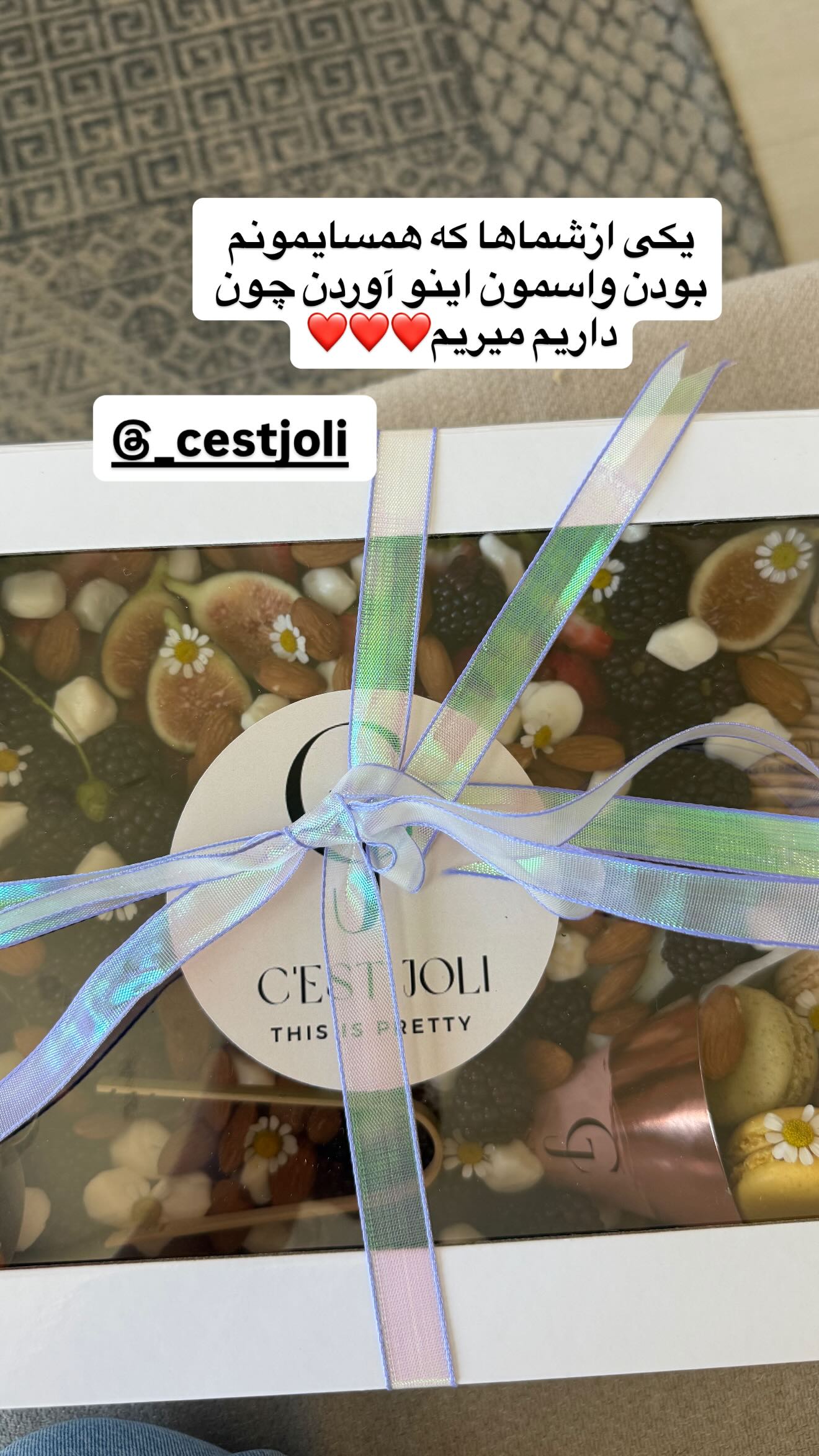  جدید ترین استوری اینستاگرام ثریا وحدتی نیا