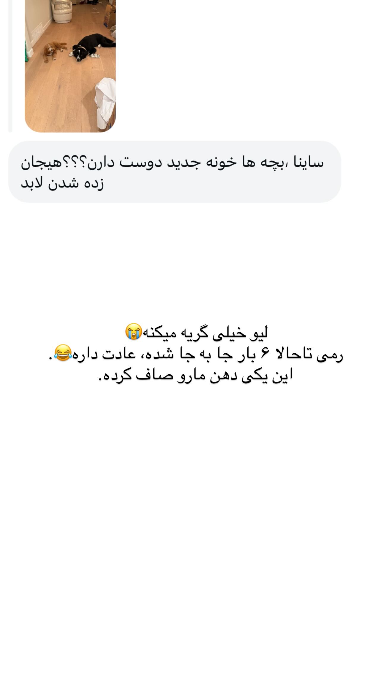  جدید ترین استوری اینستاگرام ثریا وحدتی نیا