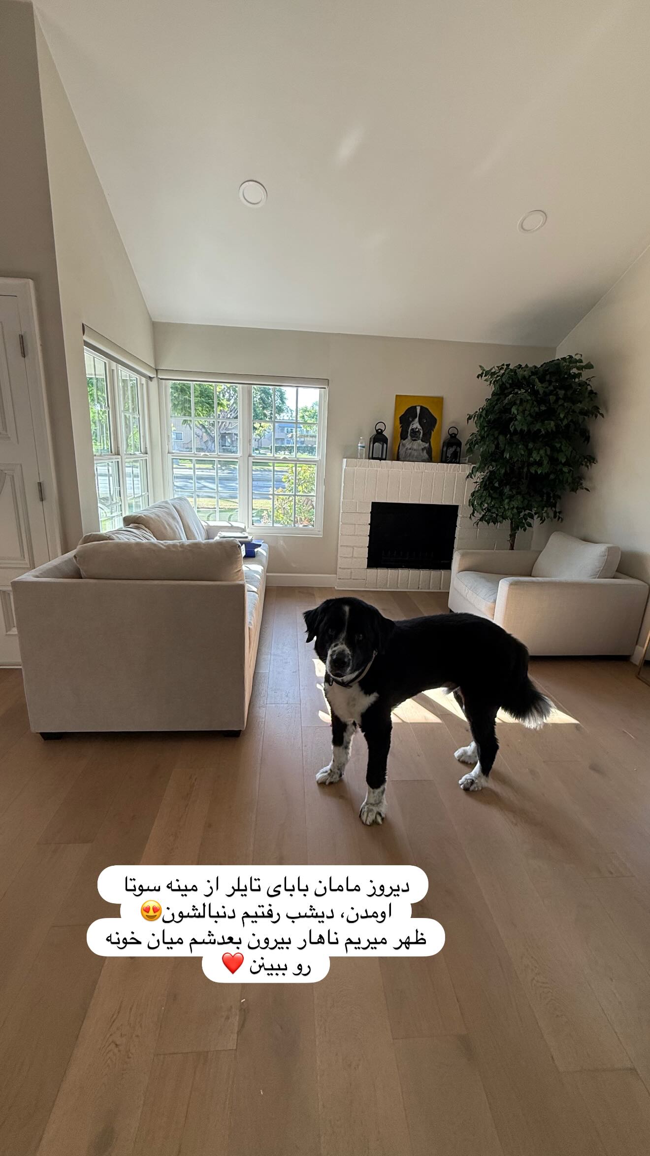  جدید ترین استوری اینستاگرام ثریا وحدتی نیا