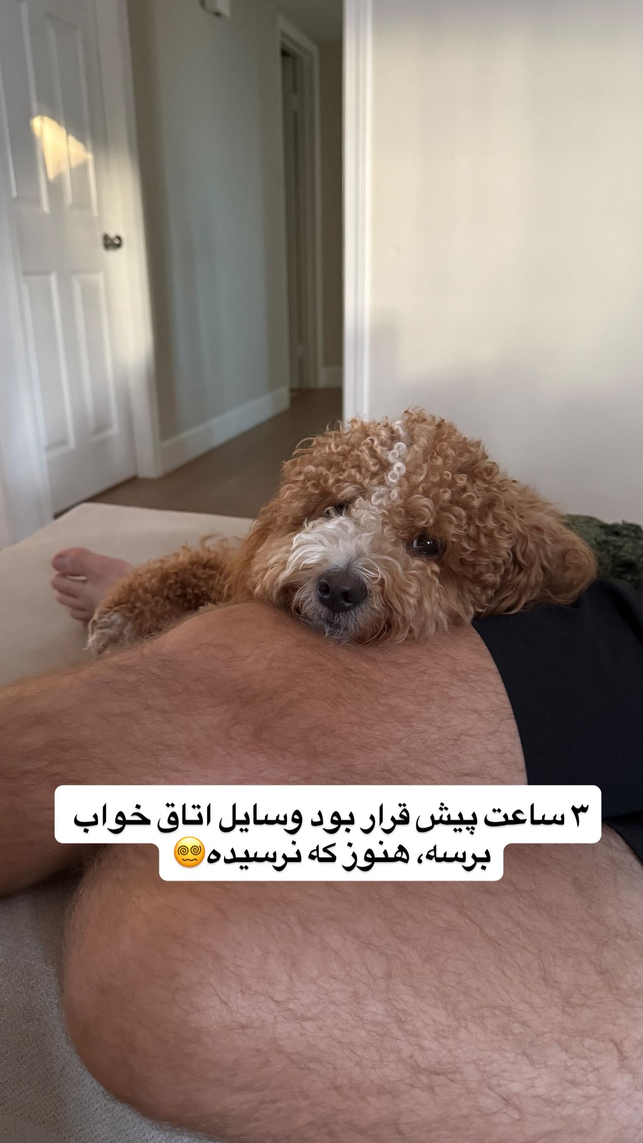  جدید ترین استوری اینستاگرام ثریا وحدتی نیا