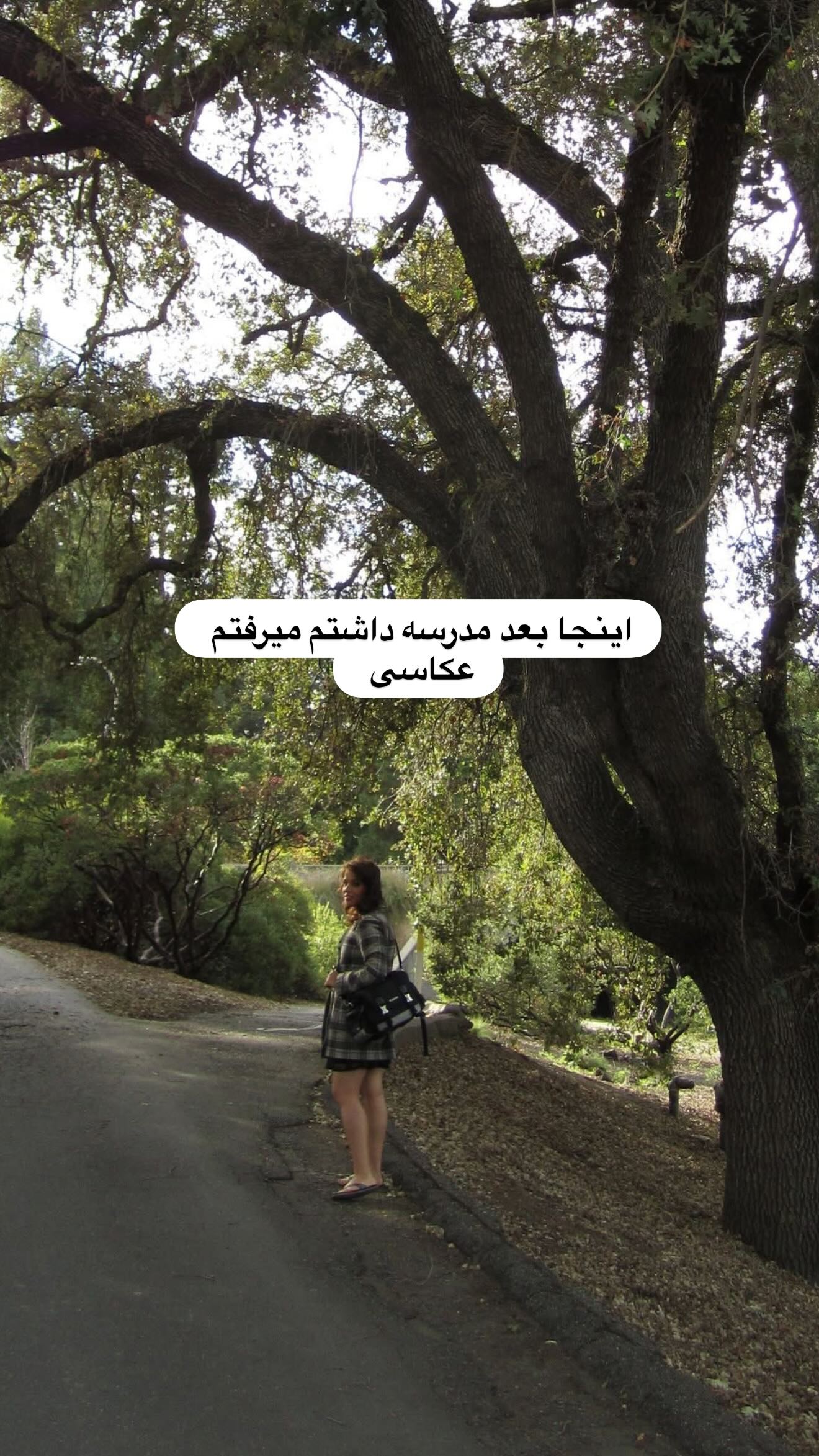  جدید ترین استوری اینستاگرام ثریا وحدتی نیا