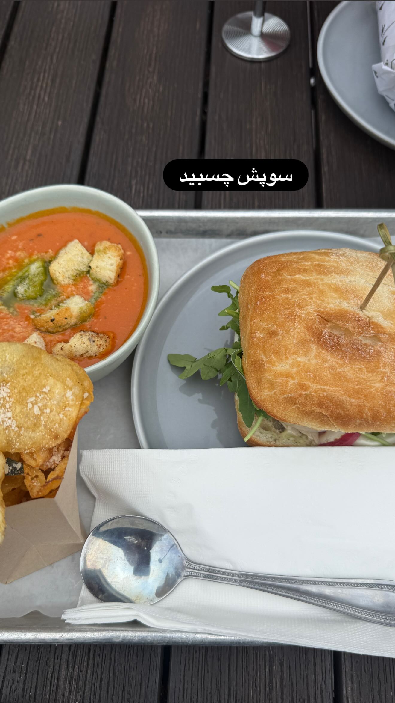  جدید ترین استوری اینستاگرام ثریا وحدتی نیا