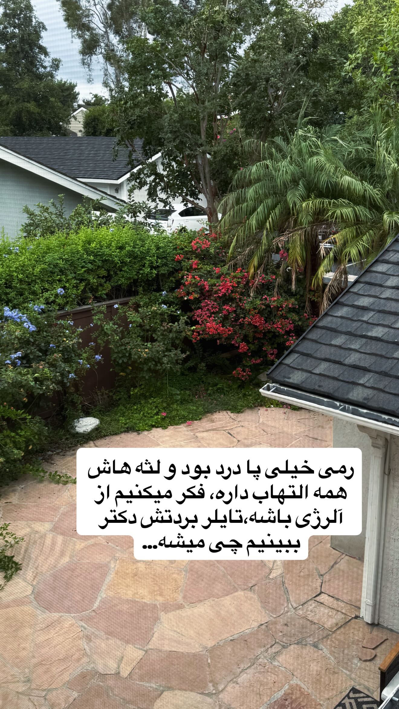  جدید ترین استوری اینستاگرام ثریا وحدتی نیا