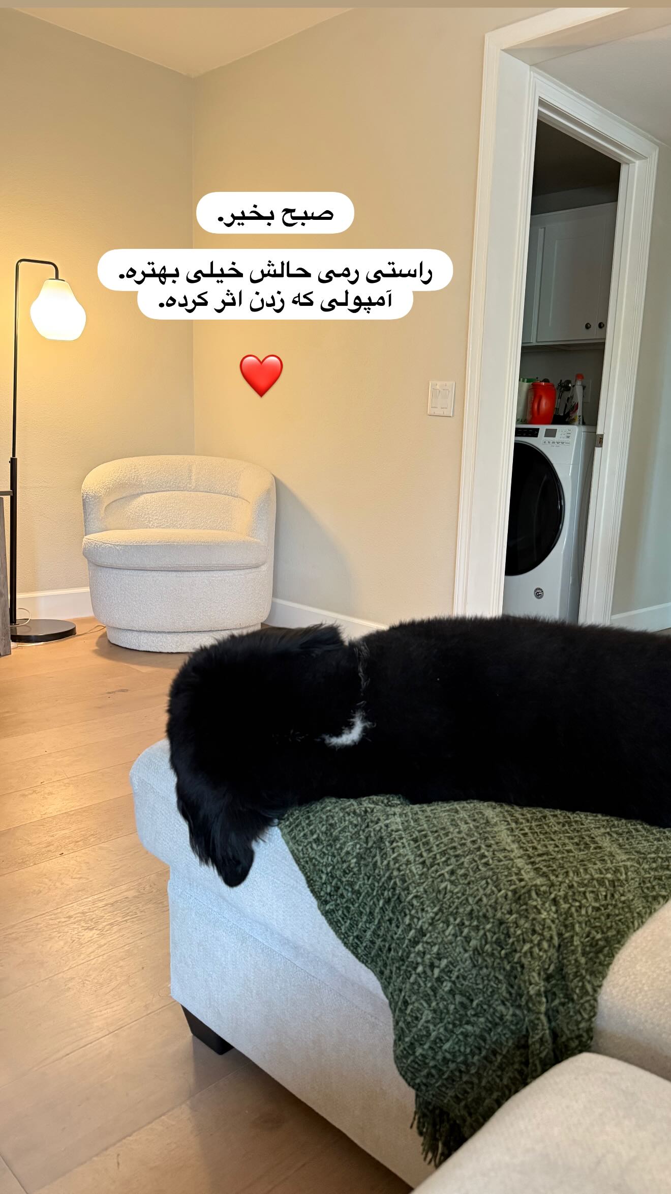  جدید ترین استوری اینستاگرام ثریا وحدتی نیا