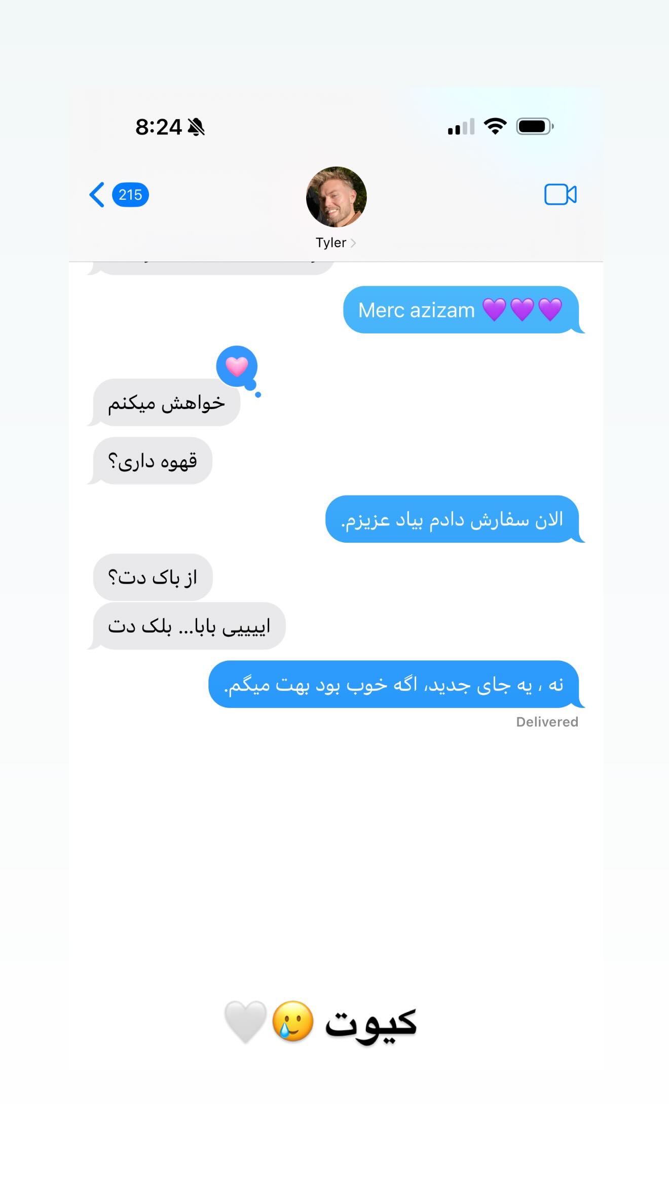 جدید ترین استوری اینستاگرام ثریا وحدتی نیا