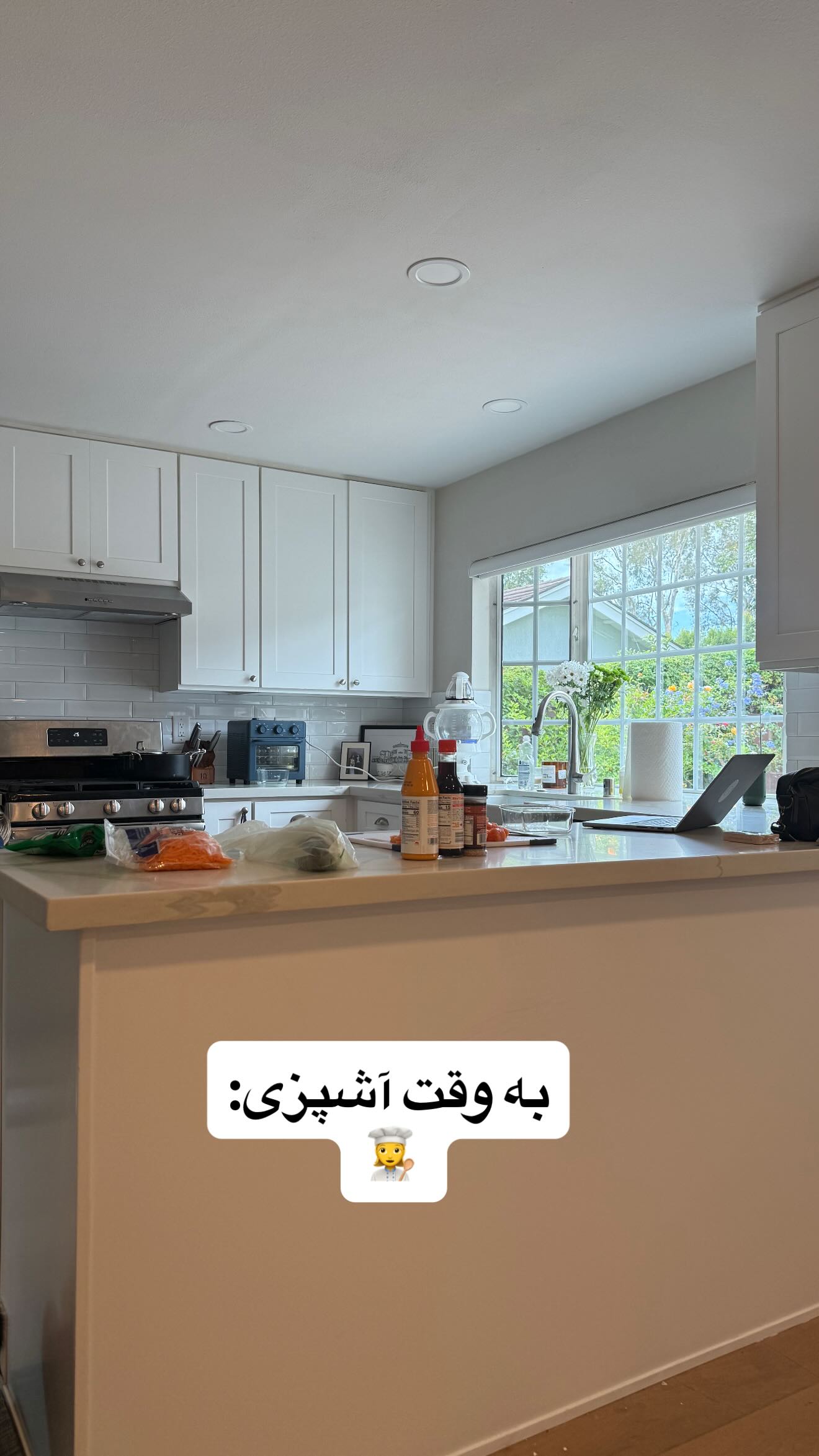  جدید ترین استوری اینستاگرام ثریا وحدتی نیا