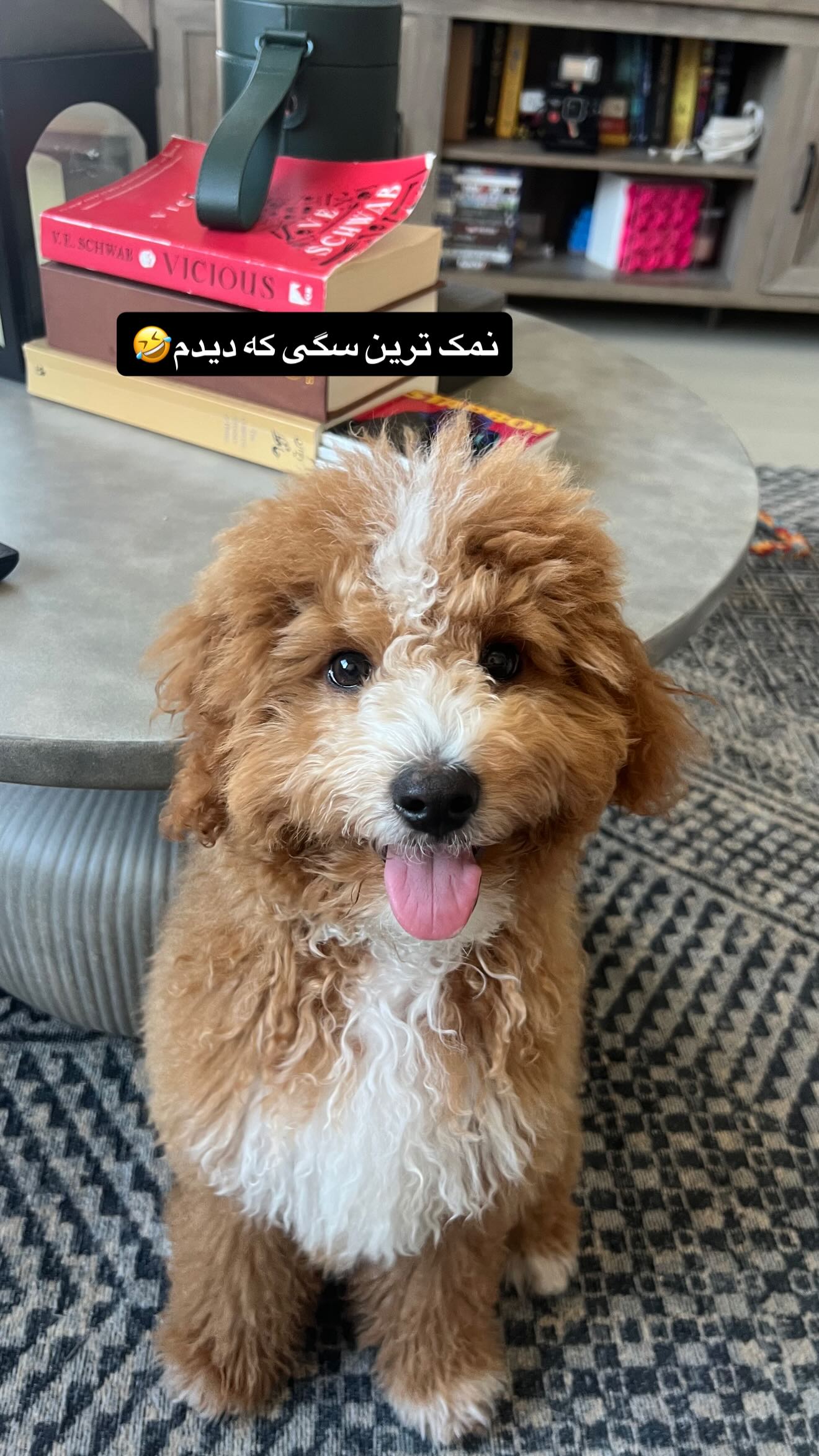  جدید ترین استوری اینستاگرام ثریا وحدتی نیا
