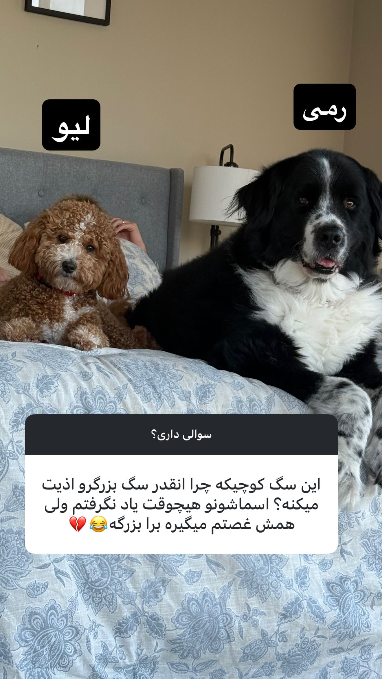  جدید ترین استوری اینستاگرام ثریا وحدتی نیا