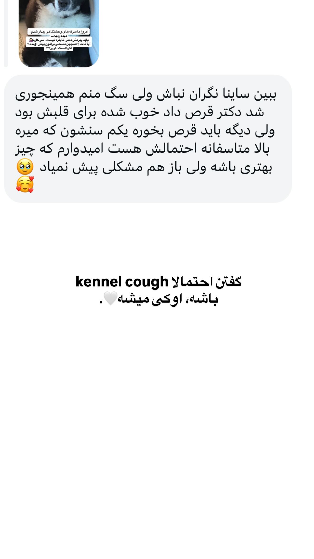 جدید ترین استوری اینستاگرام ثریا وحدتی نیا