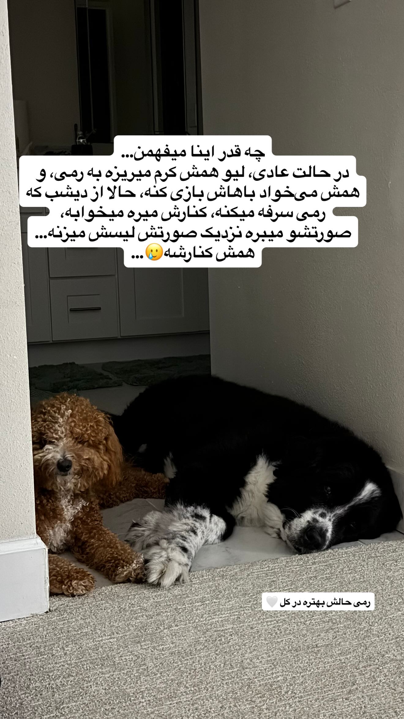  جدید ترین استوری اینستاگرام ثریا وحدتی نیا