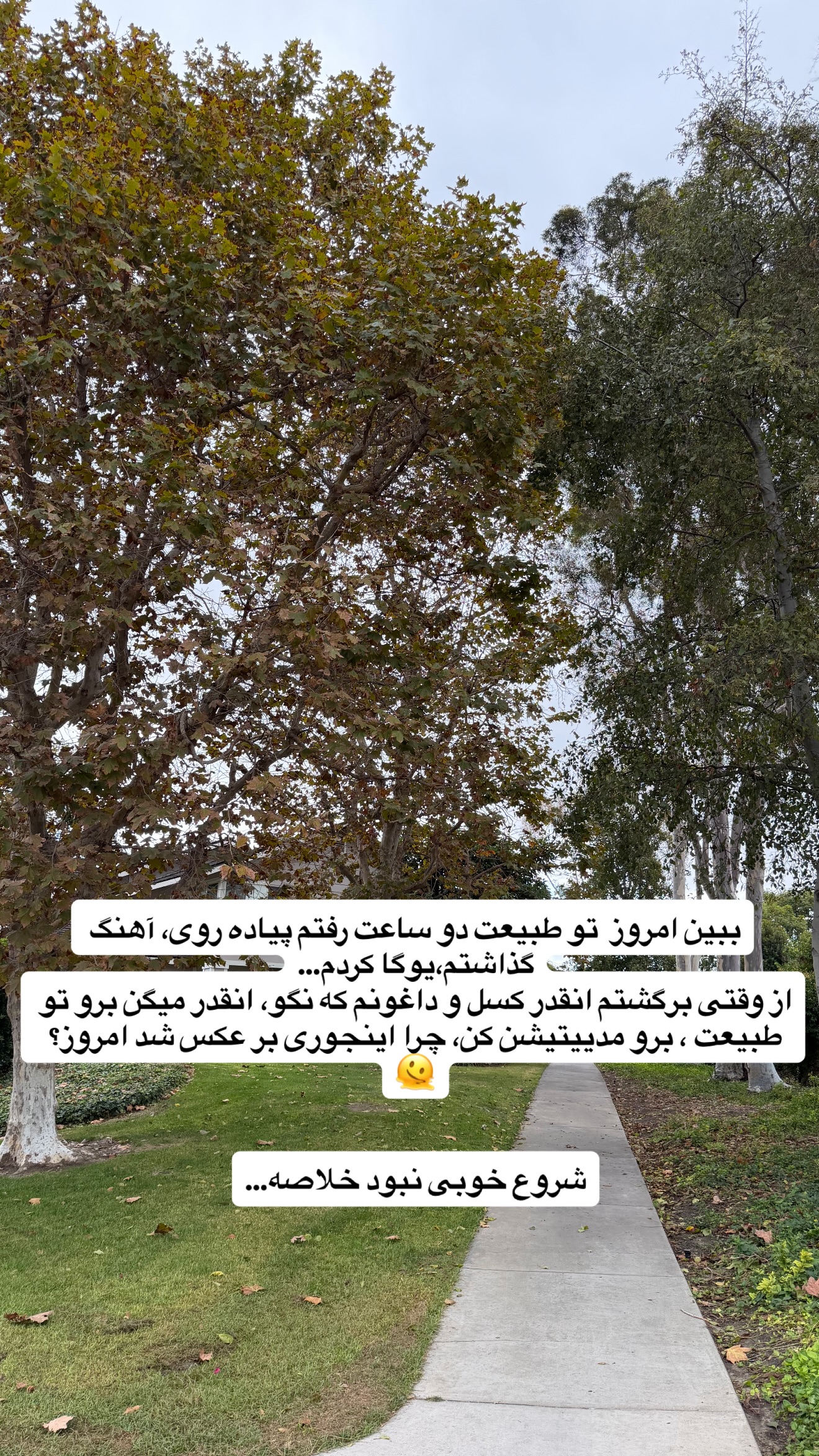  جدید ترین استوری اینستاگرام ثریا وحدتی نیا