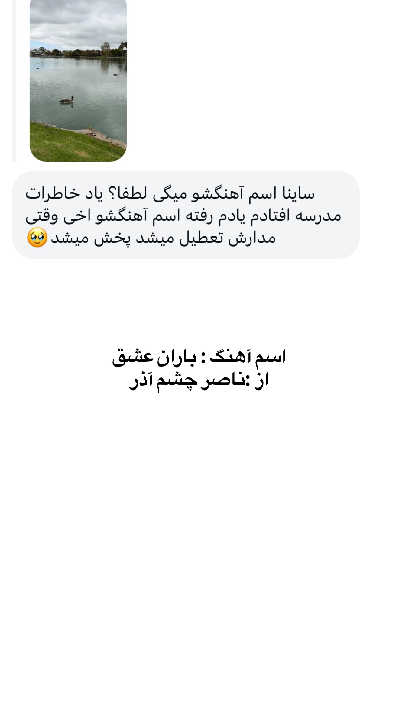  جدید ترین استوری اینستاگرام ثریا وحدتی نیا