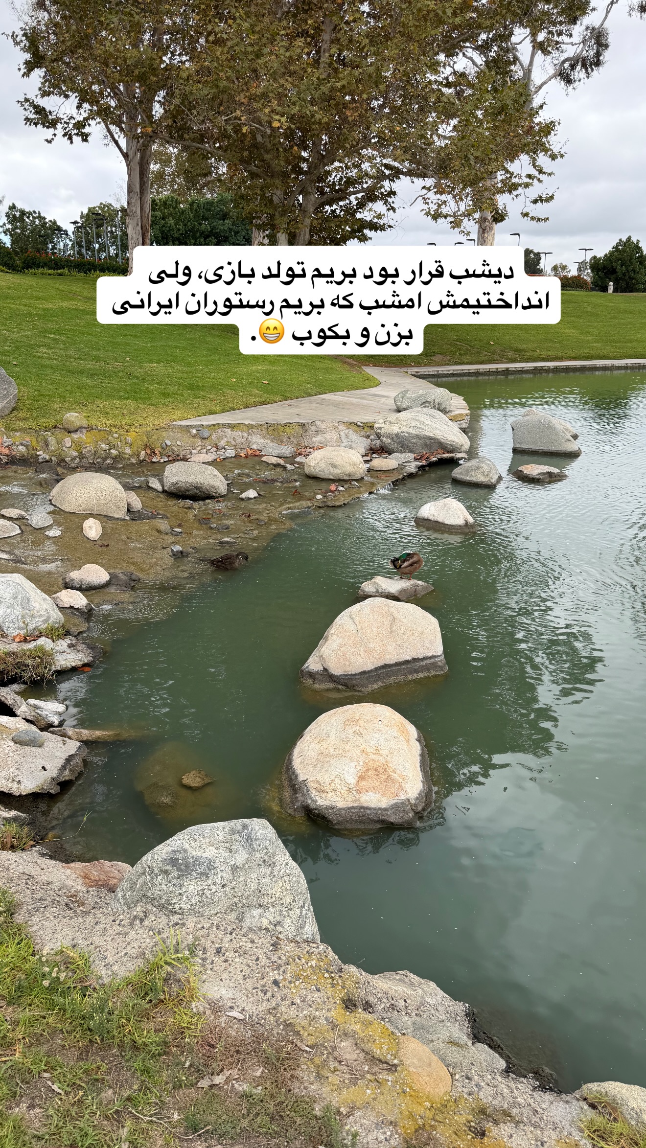  جدید ترین استوری اینستاگرام ثریا وحدتی نیا