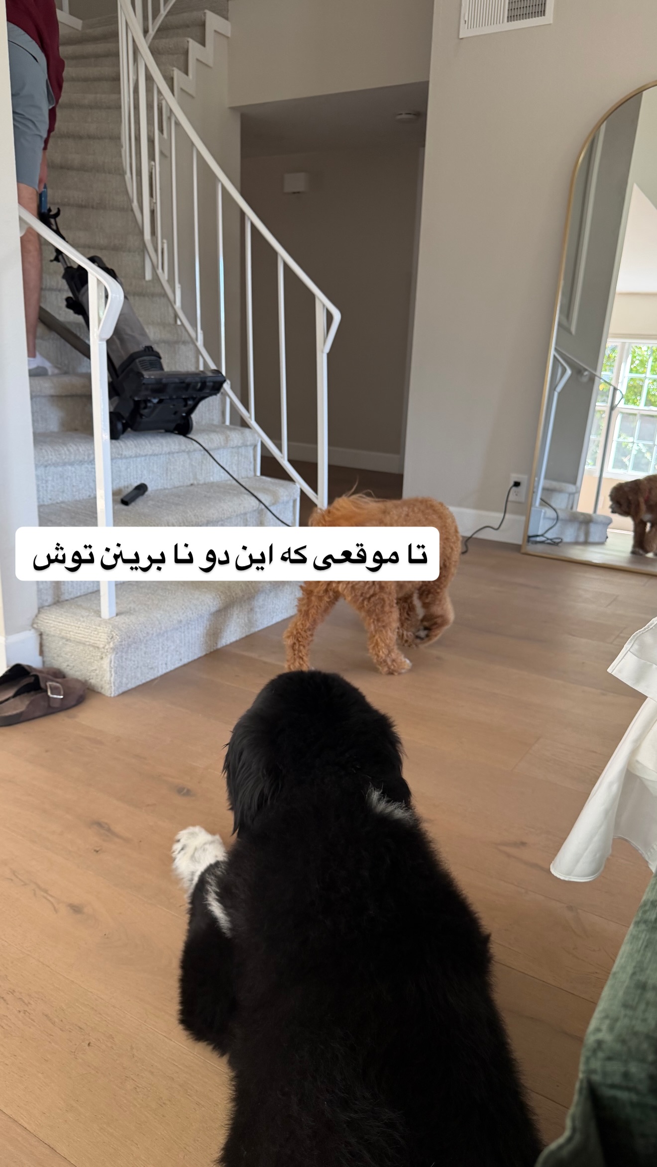  جدید ترین استوری اینستاگرام ثریا وحدتی نیا