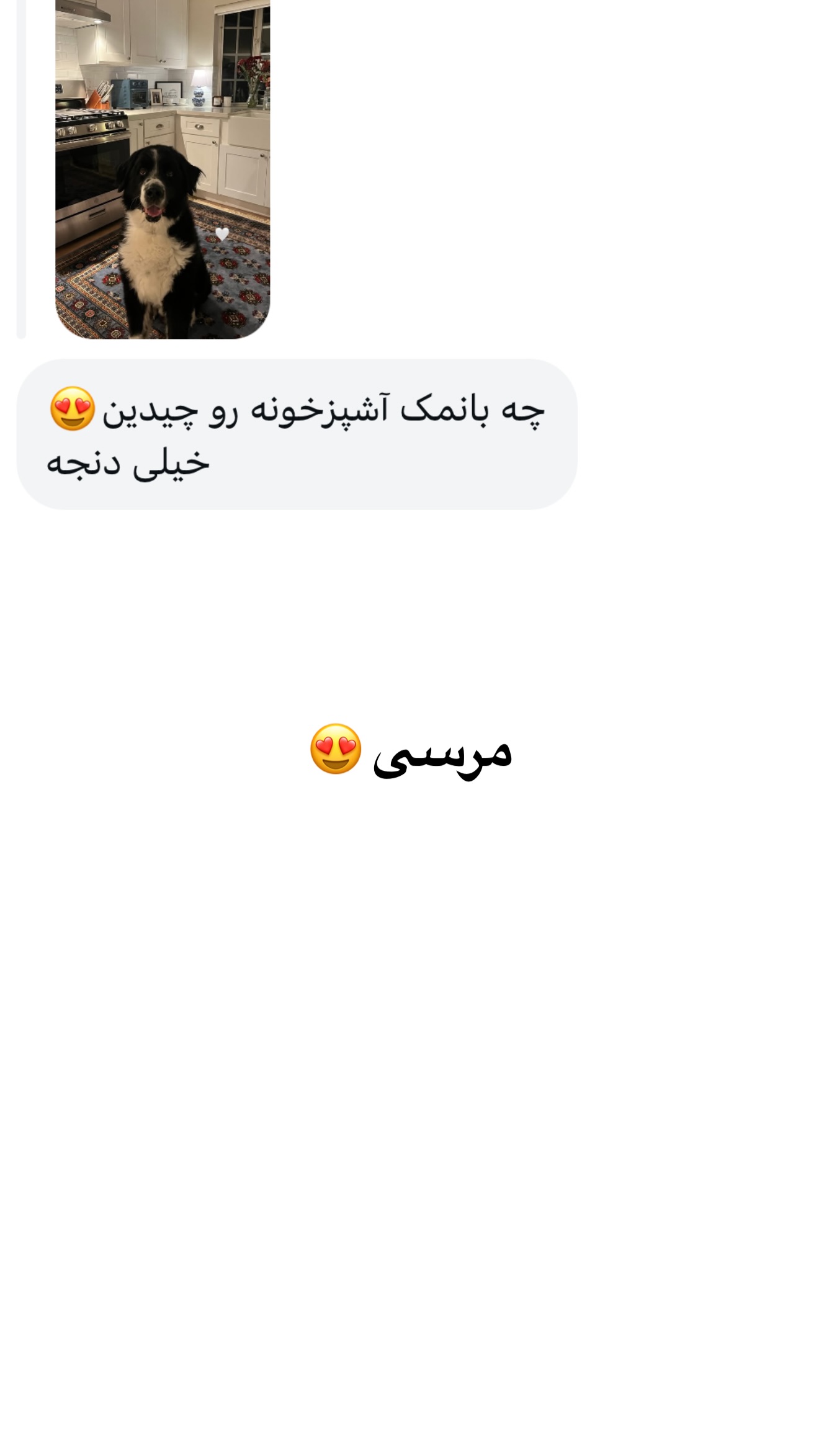  جدید ترین استوری اینستاگرام ثریا وحدتی نیا
