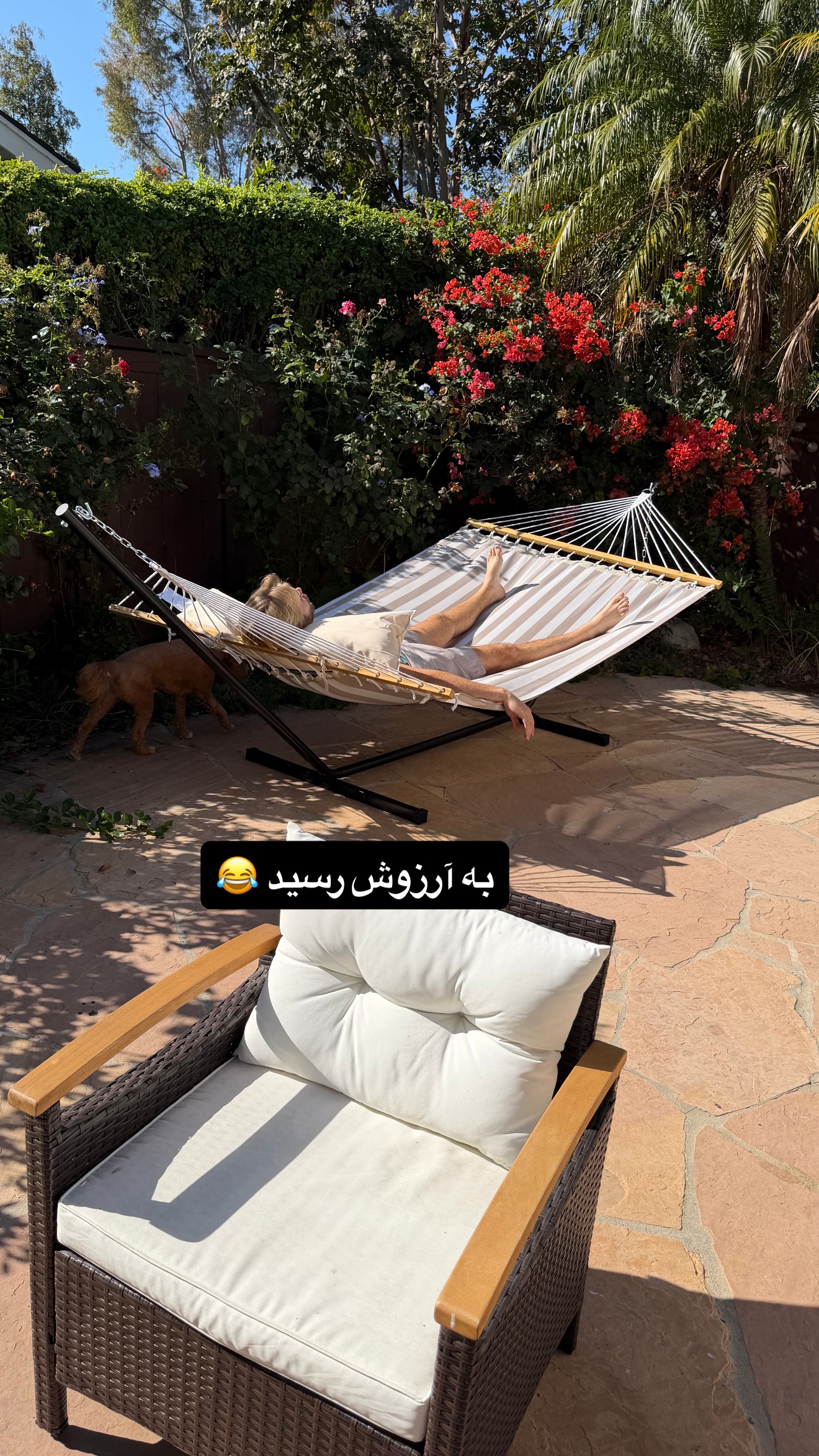 جدید ترین استوری اینستاگرام ثریا وحدتی نیا
