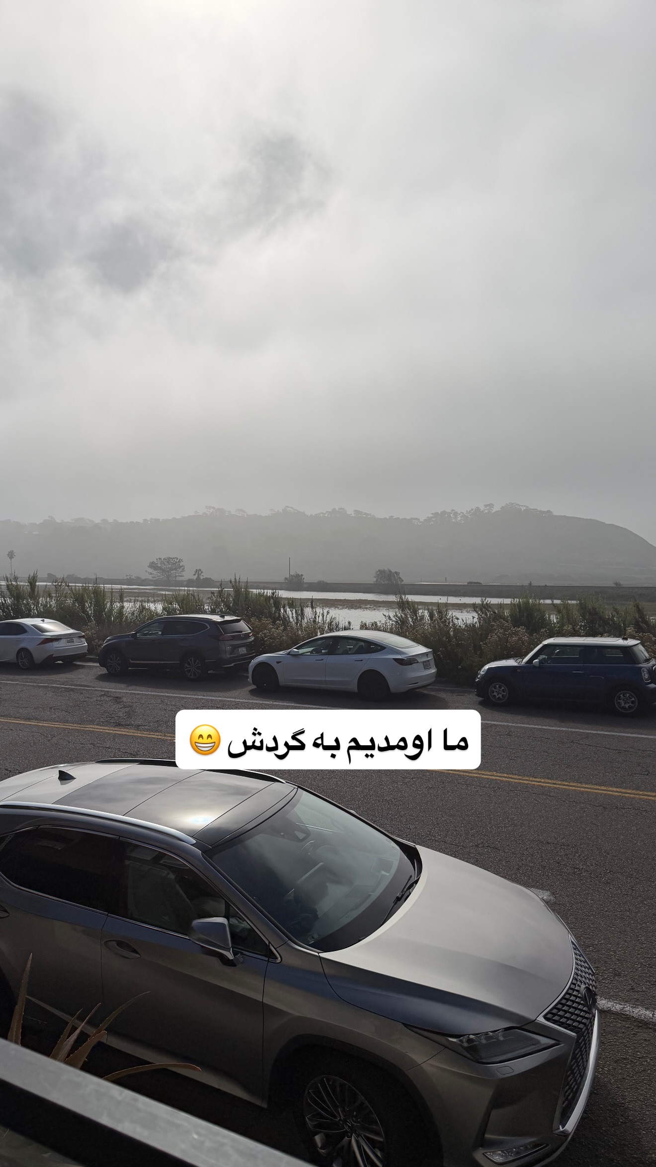  جدید ترین استوری اینستاگرام ثریا وحدتی نیا