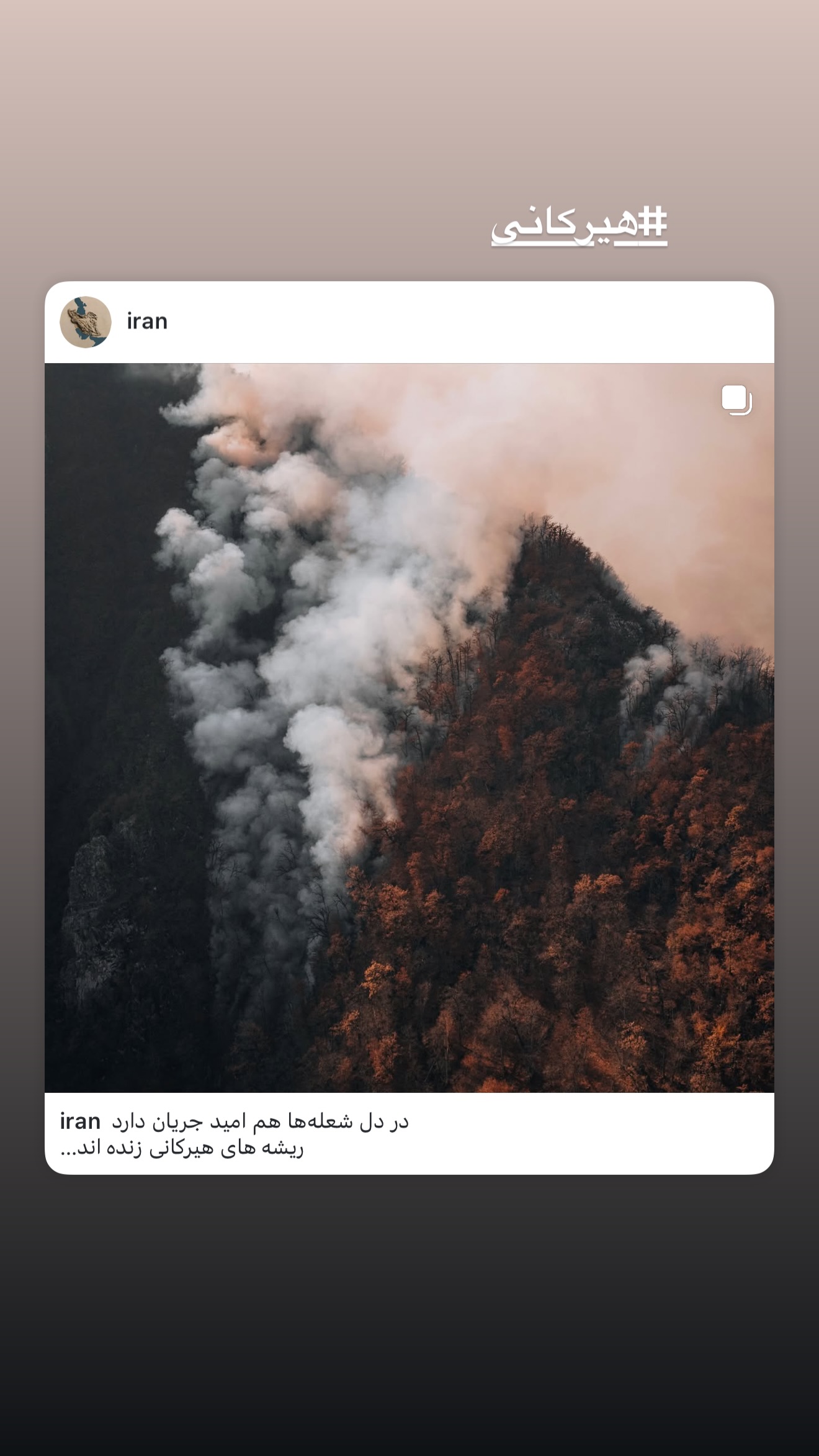  جدید ترین استوری اینستاگرام ثریا وحدتی نیا