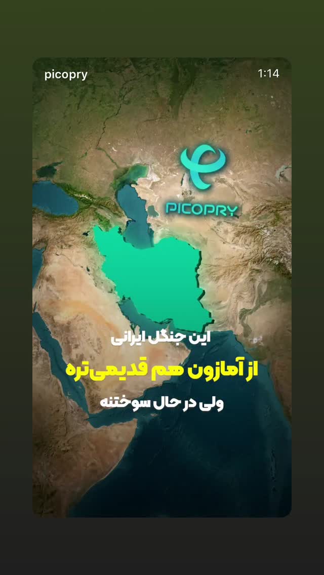 جدید ترین استوری اینستاگرام ثریا وحدتی نیا