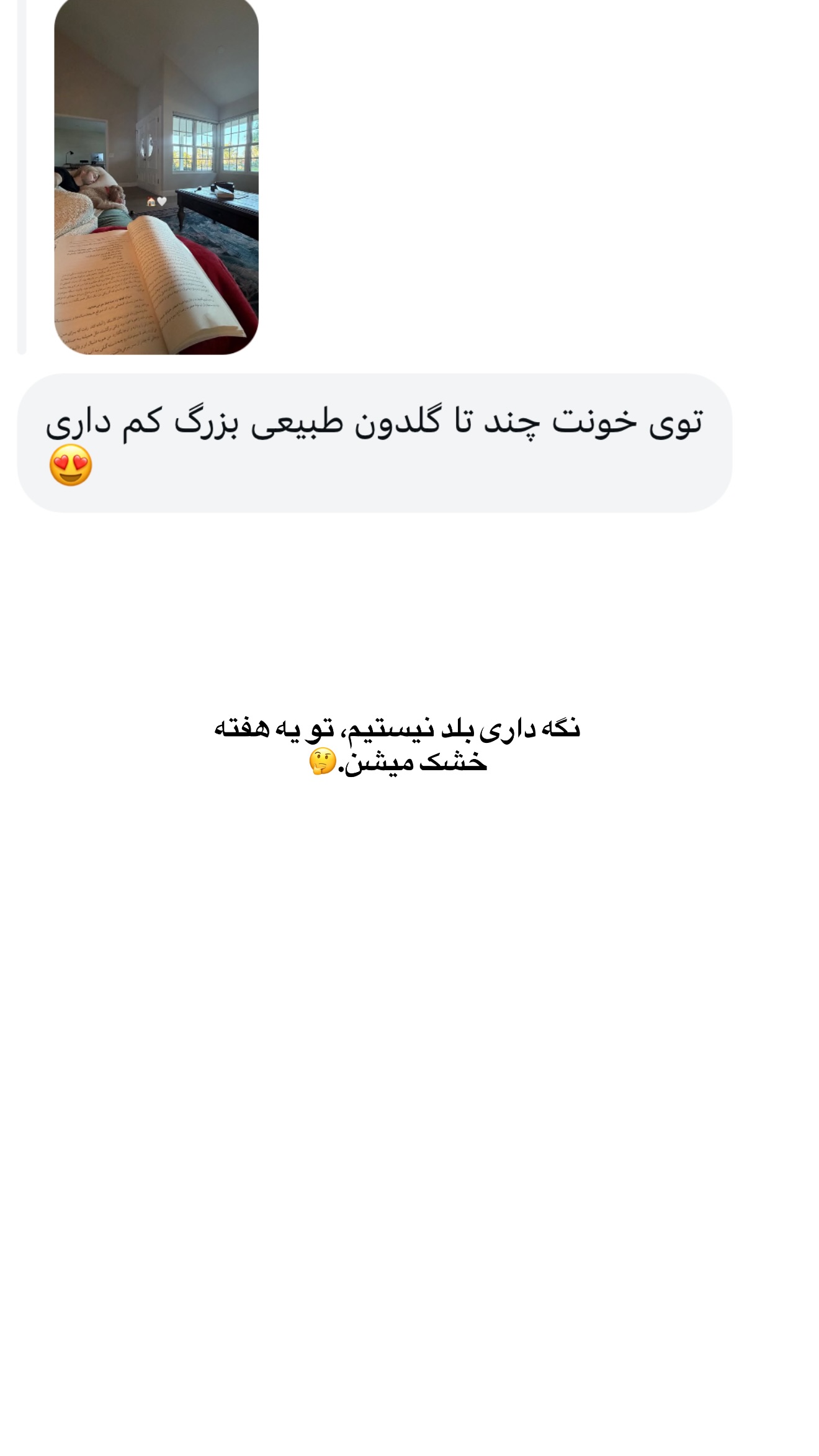  جدید ترین استوری اینستاگرام ثریا وحدتی نیا
