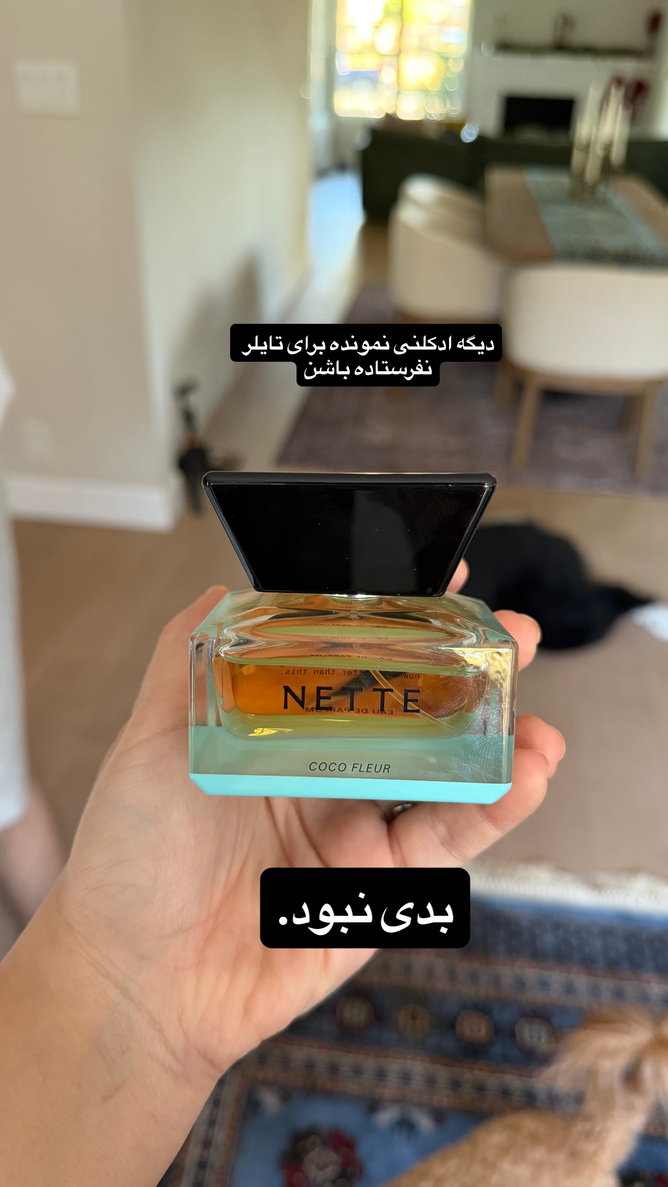  جدید ترین استوری اینستاگرام ثریا وحدتی نیا