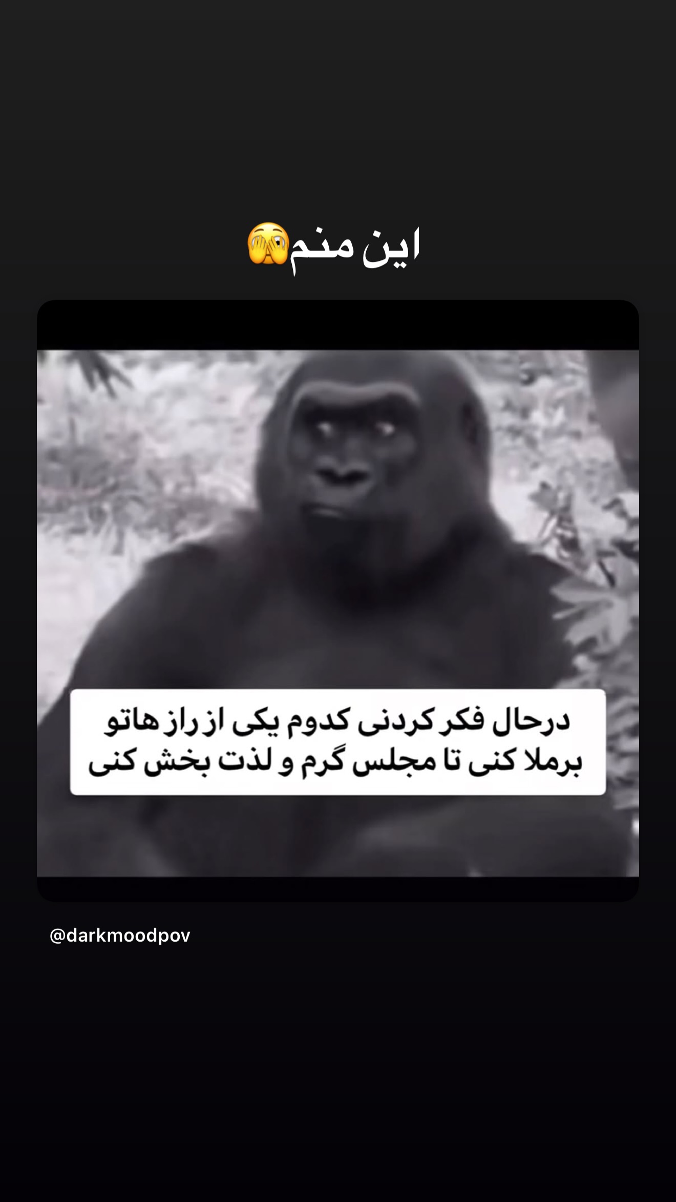  جدید ترین استوری اینستاگرام ثریا وحدتی نیا